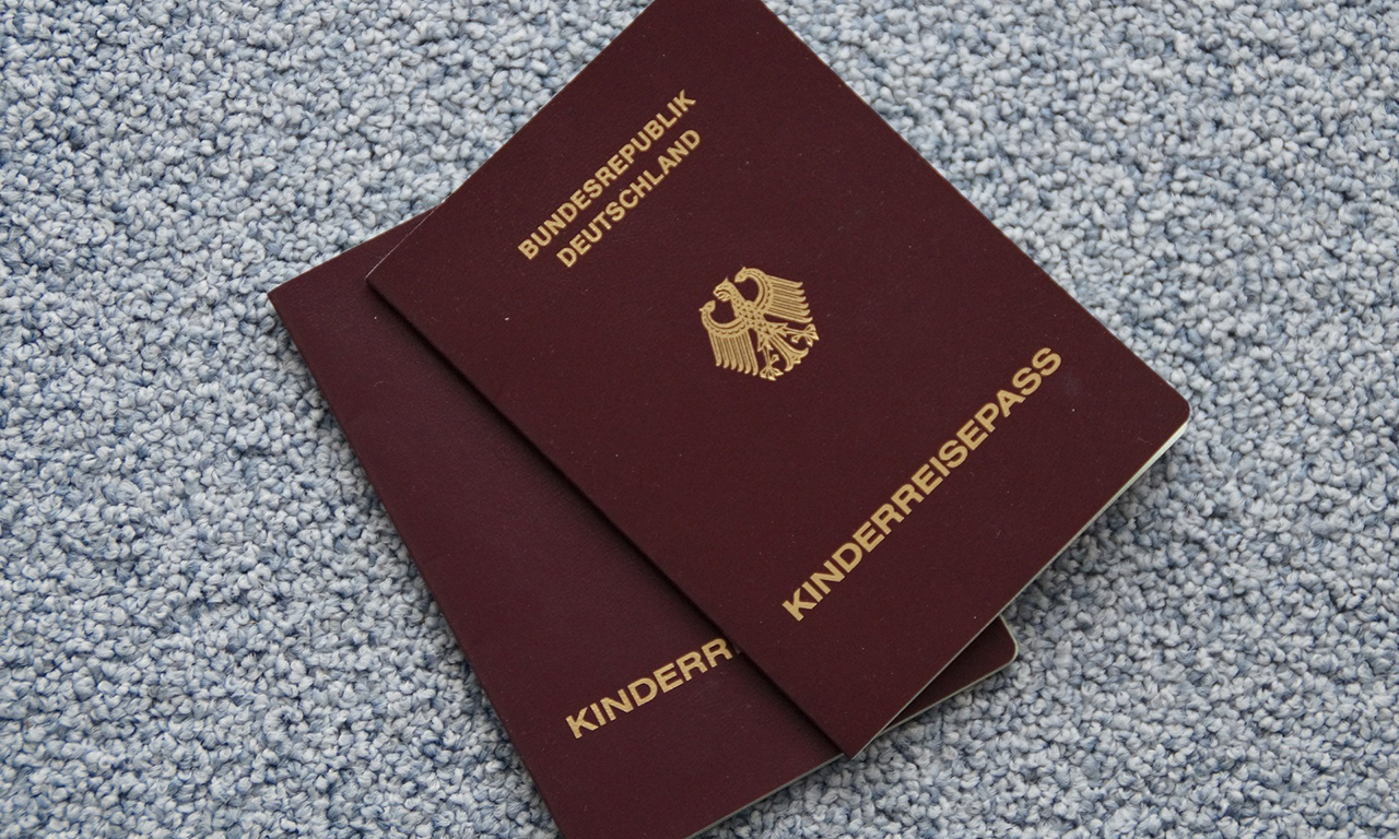 В общей сложности более 110 тысяч представителей разных стран подали прошение о получении гражданства ФРГ, что на 2,9% больше, чем в 2015-м году.