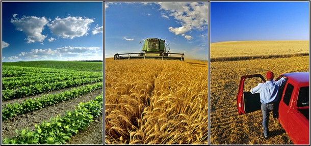 В Болгарии ожидается повышение цен на сельскохозяйственные земли